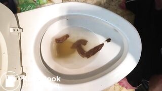 IMG_0371, ScatKings.com Scat Porn 7 ScatKings.com Scat Porn