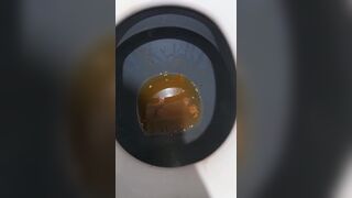 Just eat it!, ScatKings.com Scat Porn 12 ScatKings.com Scat Porn