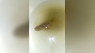 Look what she left me!, ScatKings.com Scat Porn 24 ScatKings.com Scat Porn