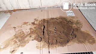 Very Nasty Asian Brown Dog, ScatKings.com Scat Porn 12 ScatKings.com Scat Porn